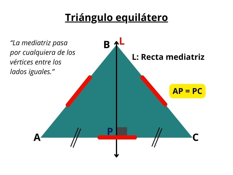lineas notables, puntos notables, lineas notables propiedades, ejercicios de puntos notables líneas notables, puntos notables, geometría euclidiana, punto de intersección, mediatriz, altura, bisectriz, circuncentro, incentro, ortocentro, baricentro, triángulo, propiedades geométricas, elementos del triángulo, rectas en geometría, construcción geométrica, lineas notables propiedades, propiedades de linea notables, propiedades puntos notables, la mediana, propiedad de la mediana, ortocentro en el triangulo rectangulo, propiedades del baricentro, puntos notables ejercicios resueltos